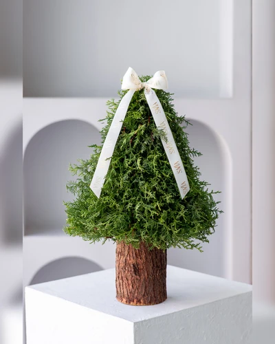 ARBOL ESPERANZA 