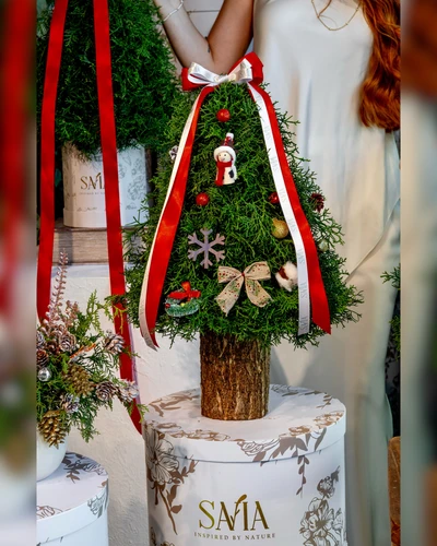 ARBOL NOEL 