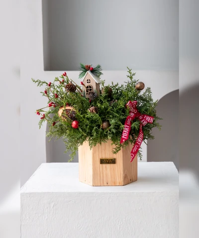 PESEBRE NAVIDEÑO